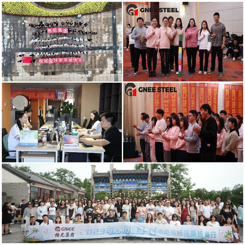 ISO 4.6# Certificate Rail Dog Spikes ISO 4.6# Certificate Rail Dog Spikes